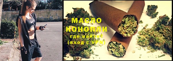 дживик Гусь-Хрустальный