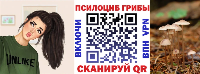 Купить где  Алушта  Псилоцибиновые грибы Magic Shrooms 